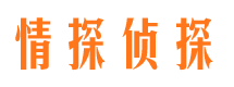 平舆市调查公司